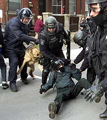 Police Dog Attacking a Deforester